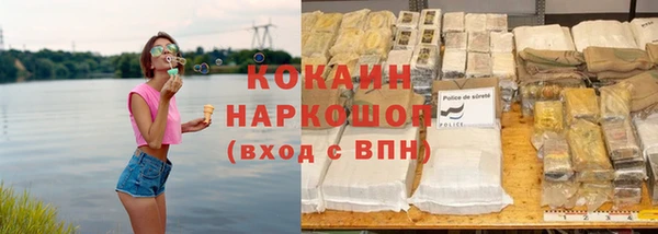 индика Белоозёрский