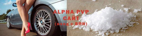 индика Белоозёрский