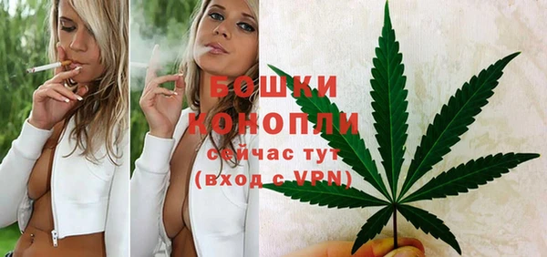 бошки Богородск