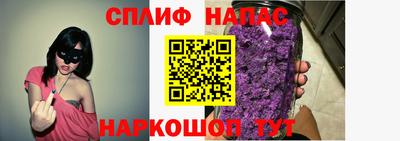 индика Усть-Джегута