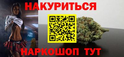 индика Усть-Джегута