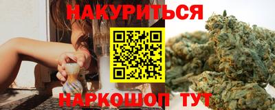 индика Усть-Джегута