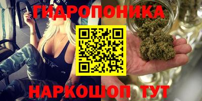 индика Усть-Джегута