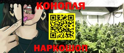 индика Усть-Джегута