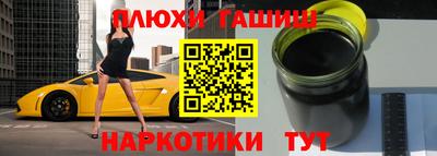 индика Усть-Джегута
