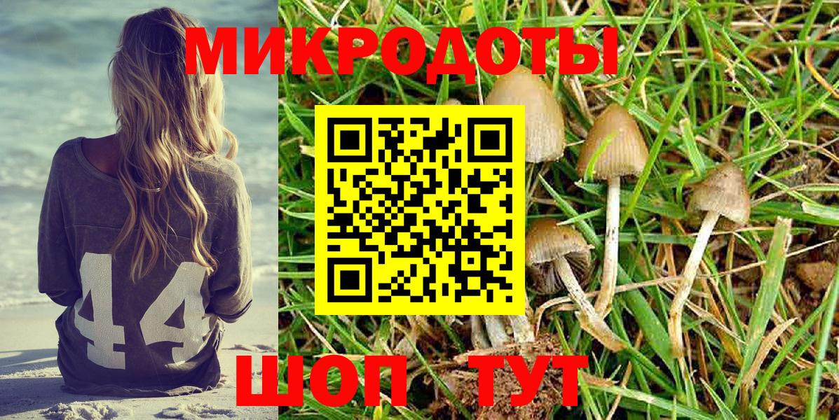 Славгород  Галлюциногенные грибы прущие грибы  Вход с VPN 