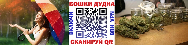 сколько стоит Славгород МАРИХУАНА Amnesia